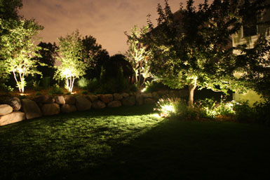 Image: Tier One Landscape landscape lighting.