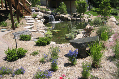 Image: Tier One Landscape plantings and mulch.