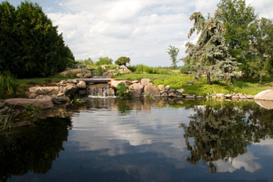 Image: Tier One Landscape swimmable pond.
