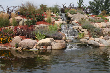 Image: Tier One Landscape swimmable pond.