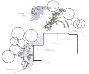 Landscape design blueprint