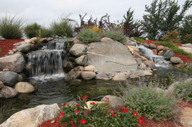 Waterfall and plantings